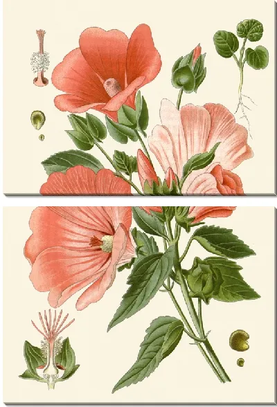 Картина Испанская лаватера, крупноцветковая малапа (1896-1897)