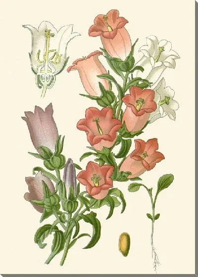 Картина Кентерберийские колокола (1896-1897)