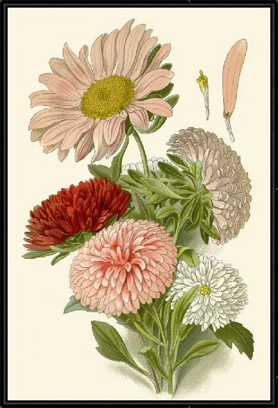 Картина Китайские астры (1896-1897)