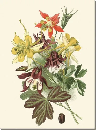 Картина Коломбины (1896-1897)