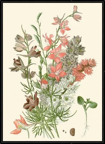 Картина Ларкспурс (1896-1897)