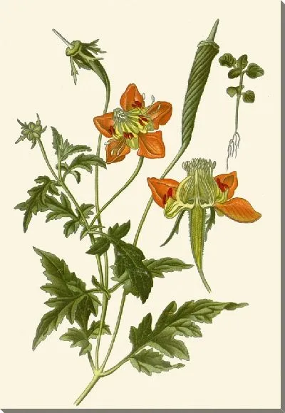 Картина Лоаса Латериция (1896-1897)