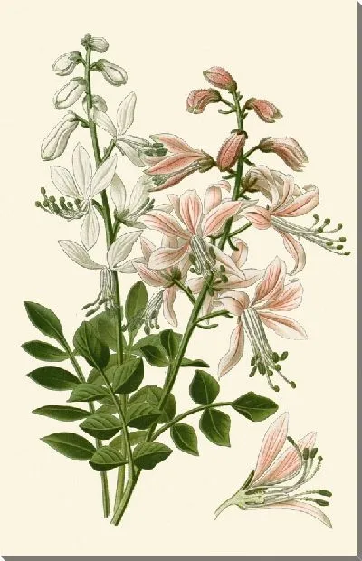 Картина Неопалимая Купина (1896-1897)