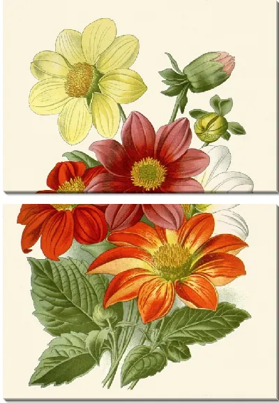 Картина Одиночный Георгин (1896-1897)