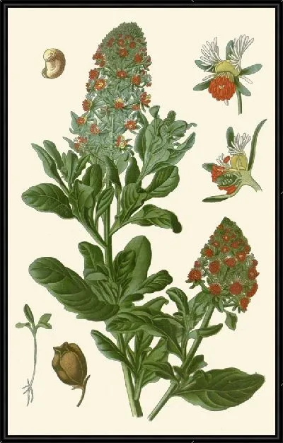 Картина Резеда (1896-1897)