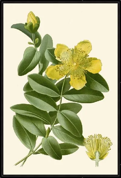 Картина Роза Шарона (1896-1897)