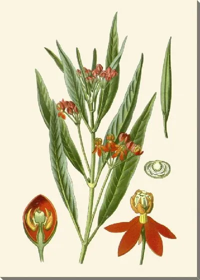 Картина Рыжая (1896-1897)