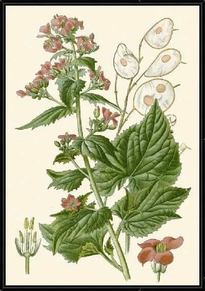 Картина Честность (1896-1897)