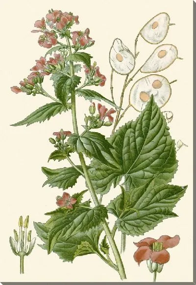 Картина Честность (1896-1897)