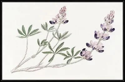 Картина Арид Люпен (1815-1819)