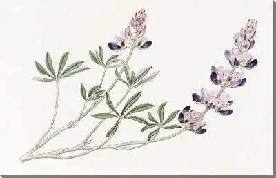 Картина Арид Люпен (1815-1819)