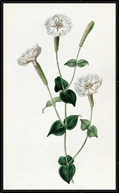 Картина Армянская ловля (1815-1819)