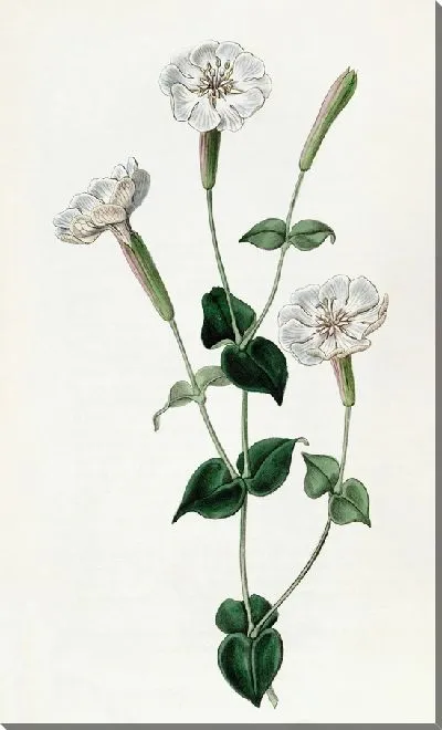 Картина Армянская ловля (1815-1819)