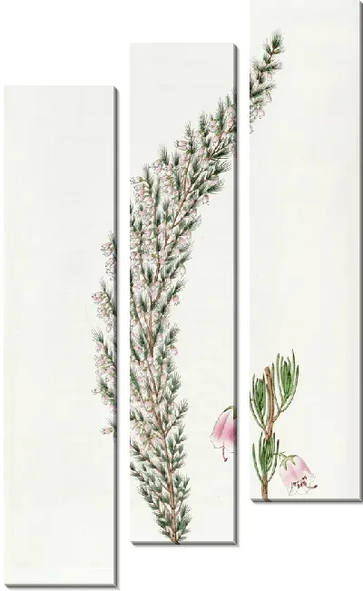 Картина Колокольная пустошь (1815-1819)