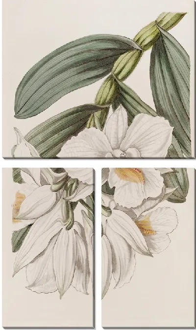 Картина Красивое дерево-цветение (1815-1819)