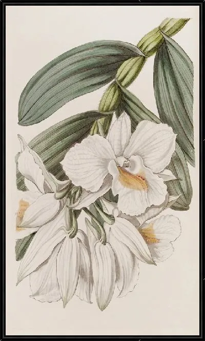 Картина Красивое дерево-цветение (1815-1819)