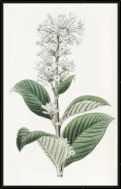 Картина Нетсид с лазурными цветами (1815-1819)