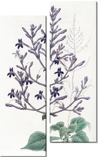 Картина Прекрасная Юстиция (1815-1819)
