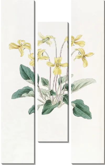 Картина Фиалка укушенная (1815-1819)
