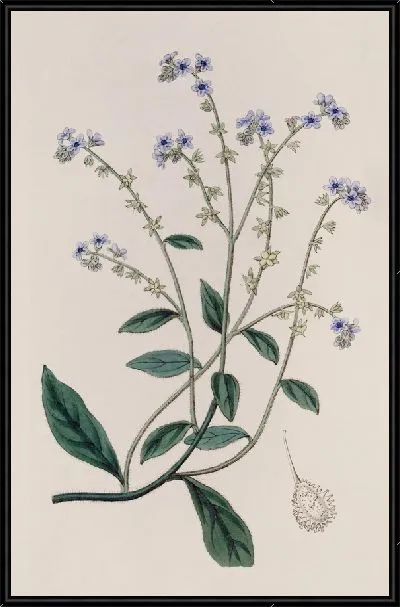 Картина Берри Хаундстонг (1815–1819)