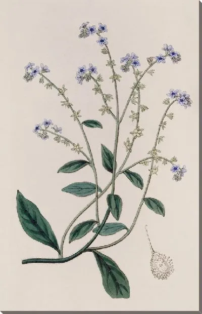 Картина Берри Хаундстонг (1815–1819)