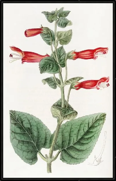 Картина Геснера капитана Саттона (1815-1819)