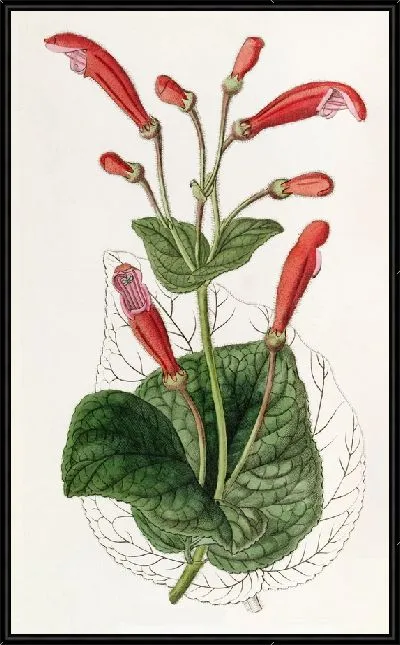 Картина Кирпично-красная Геснера (1815-1819)