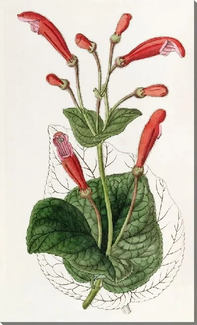 Картина Кирпично-красная Геснера (1815-1819)