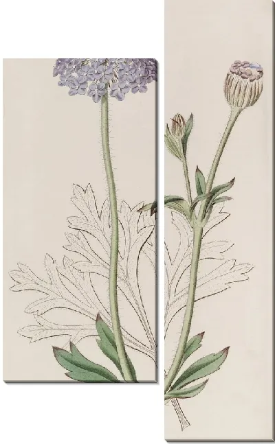 Картина Трахимена с голубыми цветами (1815-1819)