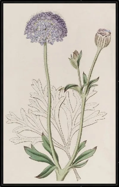 Картина Трахимена с голубыми цветами (1815-1819)