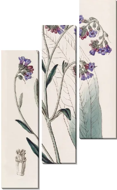 Картина Хаундстонг с буглоцветными цветами (1815-1819)