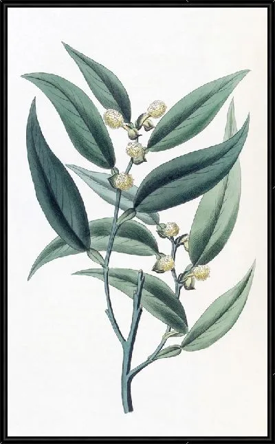 Картина Восхождение на Потос (1815-1819)