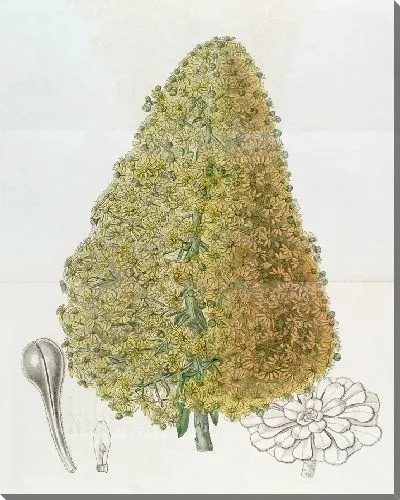 Картина Город Хауслик (1815-1819)