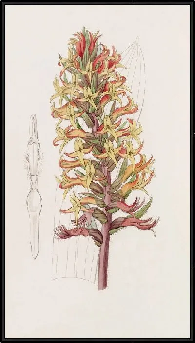 Картина Киноварь Стеноринх (1815-1819)