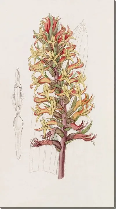 Картина Киноварь Стеноринх (1815-1819)