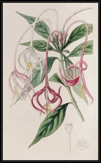 Картина Сменный Посокерий (1815-1819)