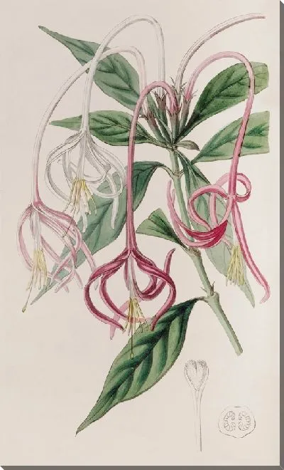Картина Сменный Посокерий (1815-1819)