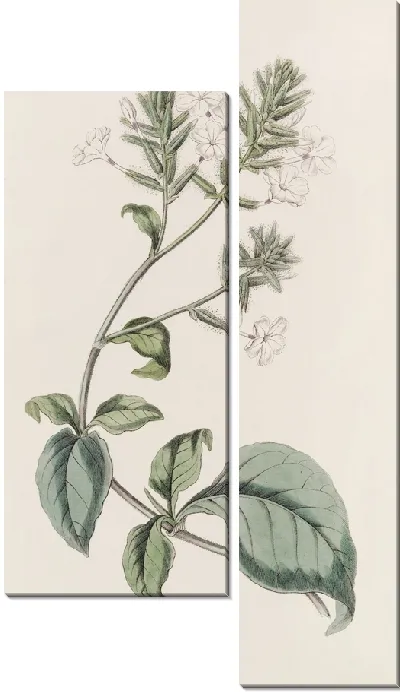 Картина Цейлон Лидворт (1815-1819)