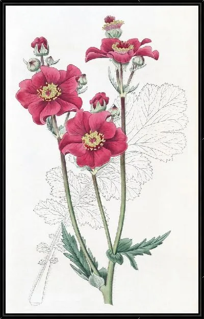 Картина Чилиан Гым (1815-1819)