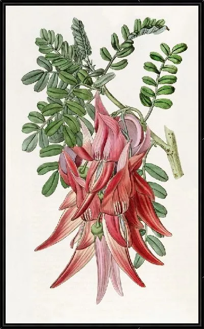 Картина Багровая Слава-Горошек (1815-1819)