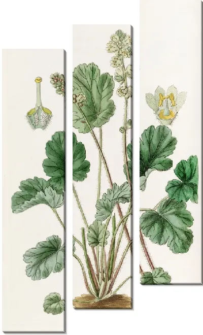 Картина Гейхера круглая (1815-1819)