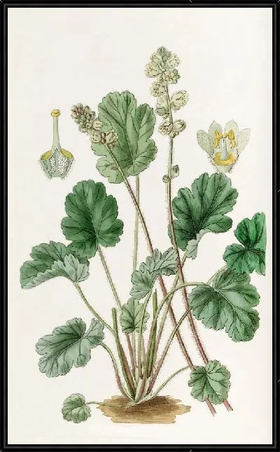 Картина Гейхера круглая (1815-1819)