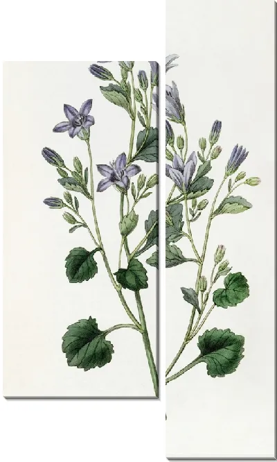 Картина Далматинская настенная колокольчик (1815-1819)