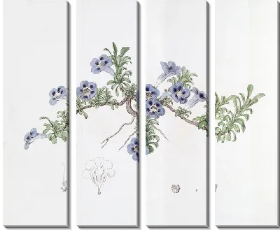 Картина Депрессивный аптосимум (1815-1819)