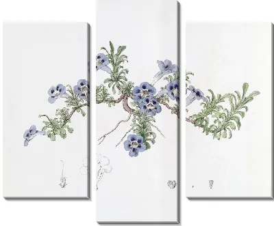 Картина Депрессивный аптосимум (1815-1819)