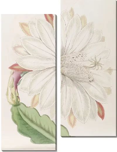 Картина Зубчатый факел-чертополох (1815-1819)