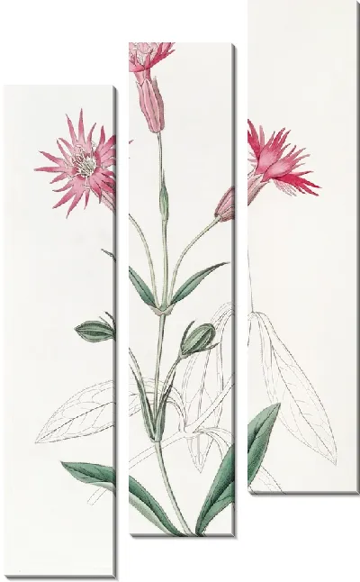 Картина Ловушка со срезанными цветами (1815-1819)