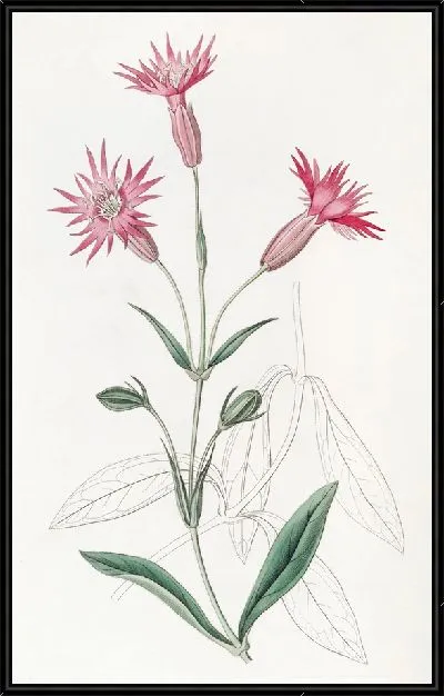 Картина Ловушка со срезанными цветами (1815-1819)