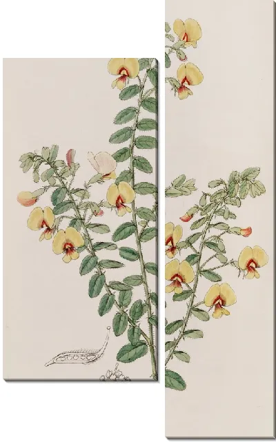 Картина Двухрядная Боссия (1815-1819)