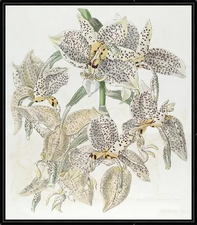 Картина Лаластая Стэнхопеа (1815-1819)